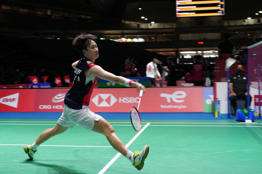 但这并不妨 但这并不妨