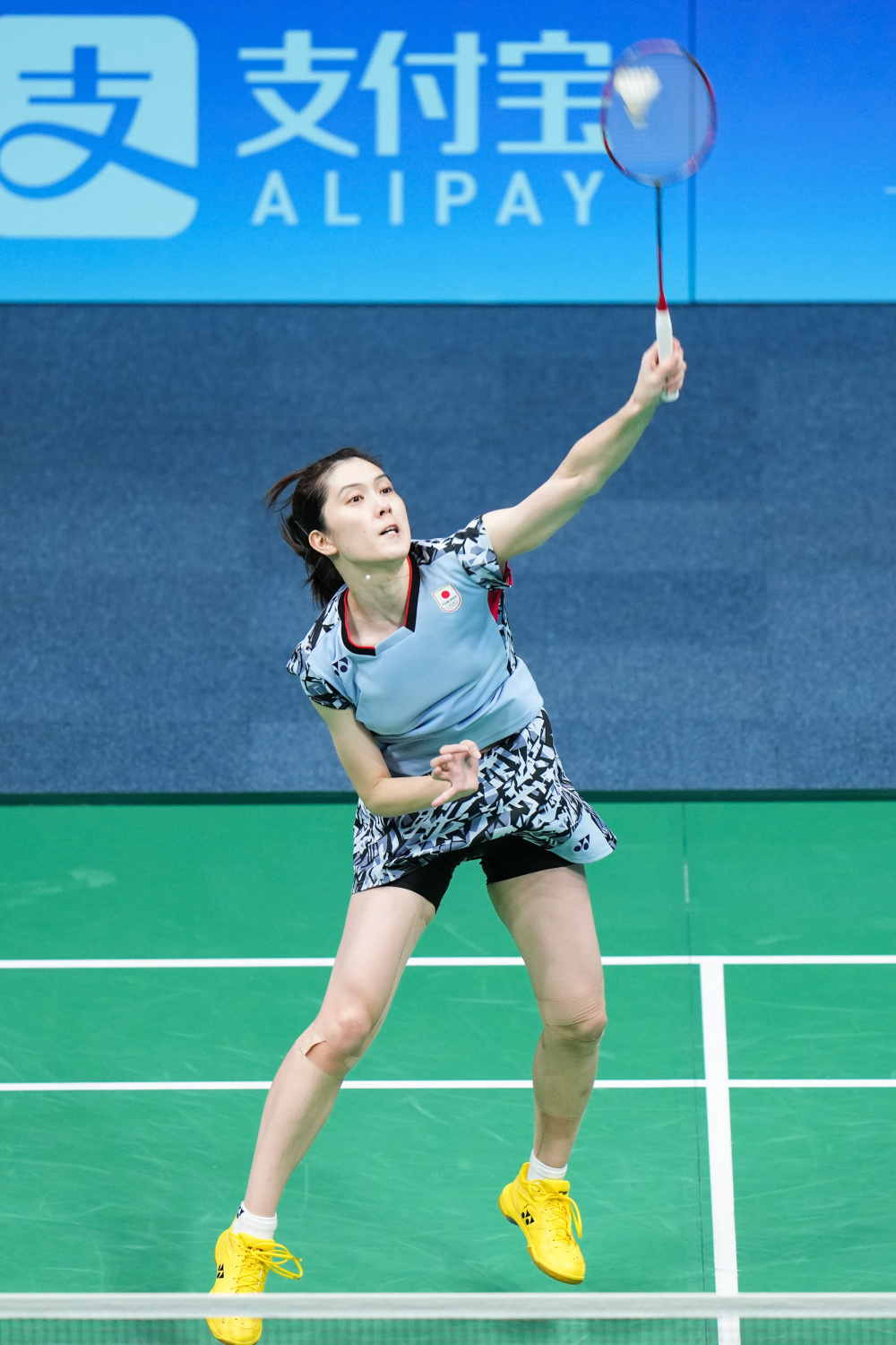 字母哥队试 字母哥队试